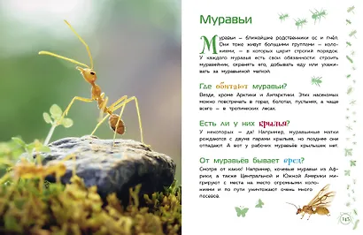 Животные. Большая детская энциклопедия - фото 10
