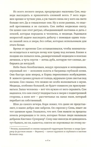 Айрон-Лейк - фото 4