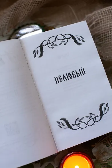 Чуж чуженин - фото 11