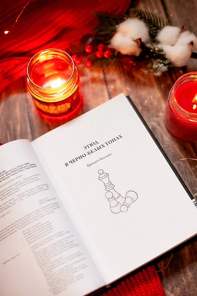 Однажды темной зимней ночью... - фото 6