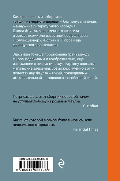 Башня из черного дерева - фото 2