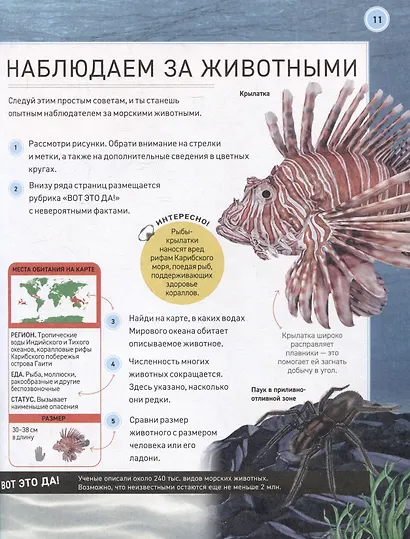 Подводный мир. Полная энциклопедия - фото 3