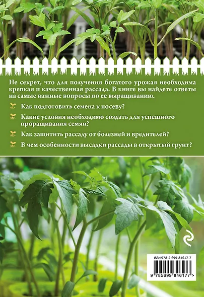 Здоровая рассада для сверхурожая - фото 2