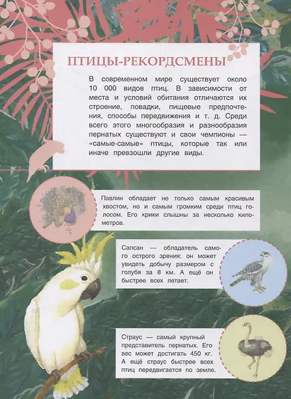 Птицы. Познавательные наклейки - фото 4