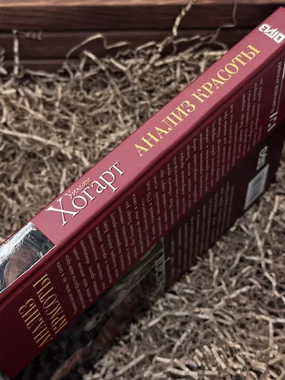 Анализ красоты - фото 7