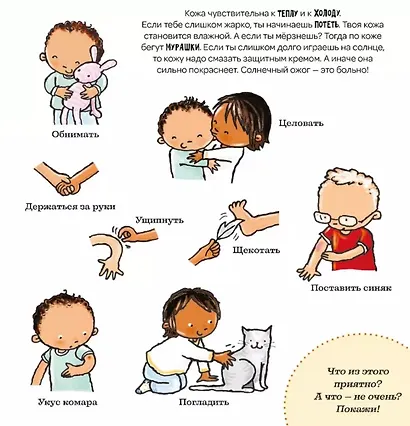 Все о твоем теле - фото 5