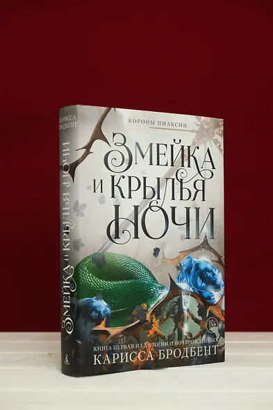Короны Ниаксии. Змейка и крылья ночи. Книга первая из дилогии о ночерожденных - фото 11