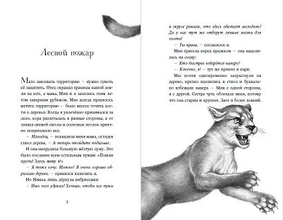 Дети леса. День огня (#6) - фото 10