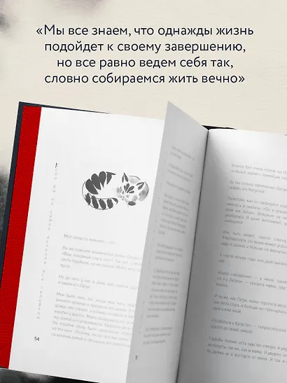 Если все кошки в мире исчезнут. Эксклюзивное издание с цветными иллюстрациями (имитация шнуровки, печать по обрезу) - фото 6