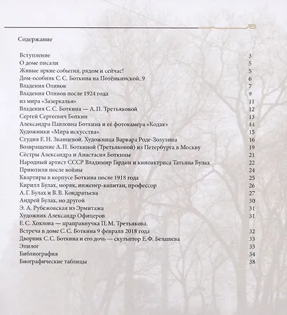 Дом-особняк Сергея Сергеевича Боткина в Санкт-Петербурге у Таврического сада. Люди и судьбы 1903-2018 - фото 2