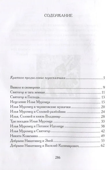 Богатырщина - фото 6