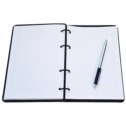 Тетрадь на кольцах в клетку InFolio, Window, 120 листов - фото 4