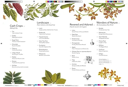 Remarkable plants - фото 3
