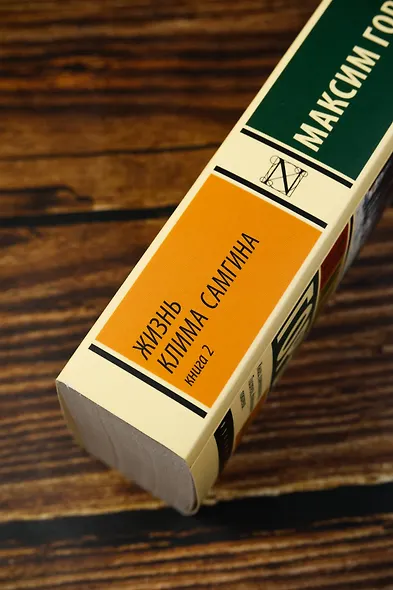 Жизнь Клима Самгина. В 2 кн. Книга 2 - фото 6