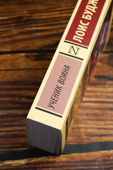 Ученик воина - фото 6