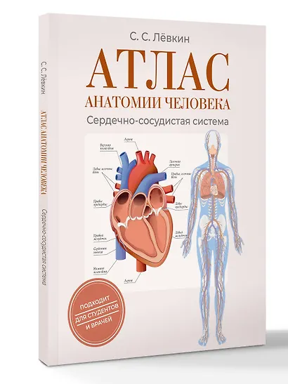 Атлас анатомии человека. Сердечно-сосудистая система - фото 3