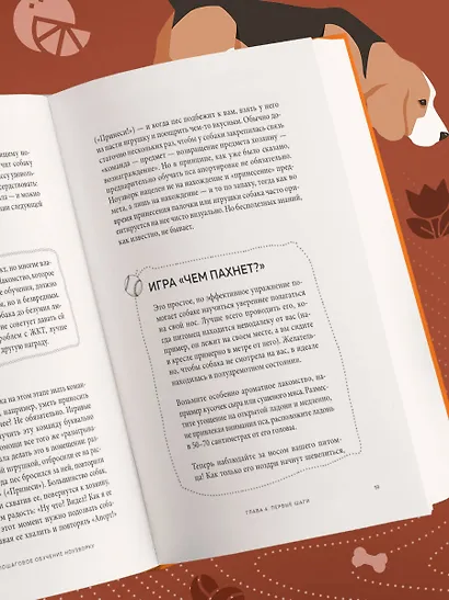 Возьми след! Секреты ноузворка: тренировки для собак - фото 11