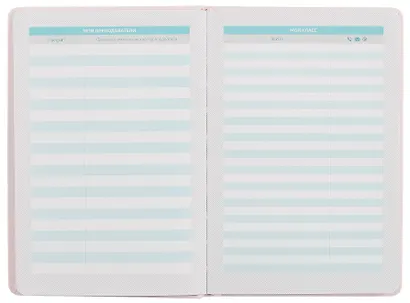 Дневник школьный Феникс+, "Плонже розовый" - фото 8