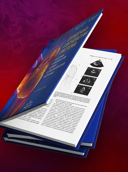 Сердечно-сосудистая система. Анатомия и физиология в покое и при физических нагрузках - фото 9