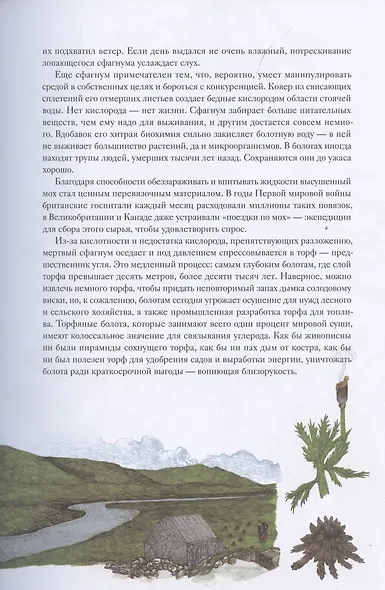 Вокруг света за 80 растений - фото 11