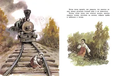 Как мужик гусей делил - фото 3