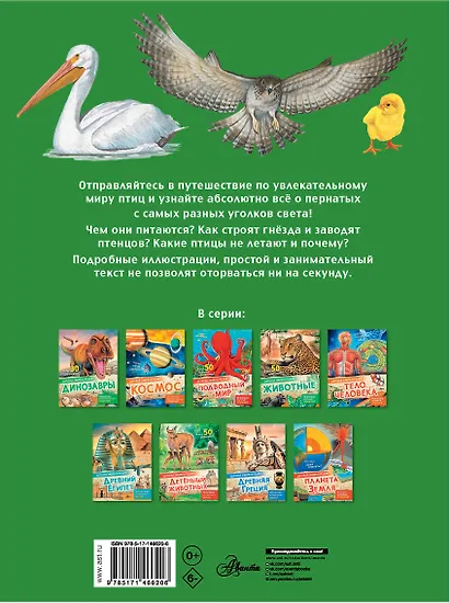 Птицы - фото 2