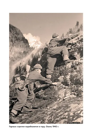 Битва за Кавказ. От Ростова до Новороссийска - фото 13