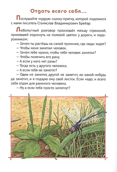 Животные на службе у человека - фото 3