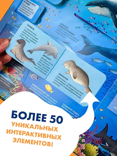 Все тайны подводного мира - фото 7