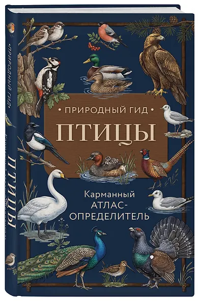 Птицы. Карманный атлас-определитель - фото 3