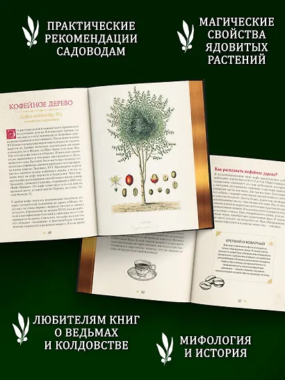 Яды. Секретная сила растений - фото 4