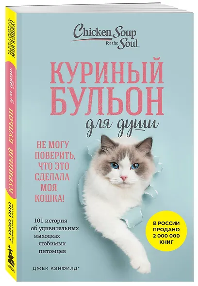 Куриный бульон для души. Не могу поверить, что это сделала моя кошка! 101 история об удивительных выходках любимых питомцев - фото 3