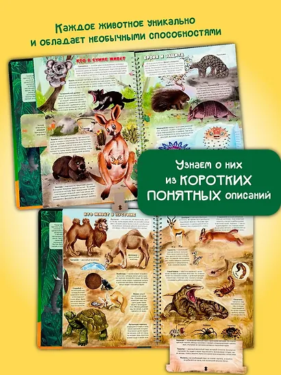 Атлас Земли. Животные. Интерактивная книга - фото 12