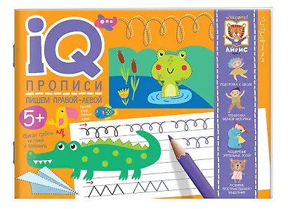 Посылка. Большой комплект IQ-игр для развития внимания и мышления. Для детей от 4 до 7 лет - фото 3