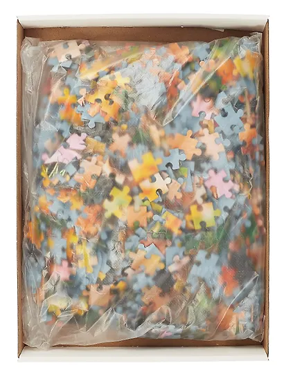 Пазл 1000 элементов "Прогулка с другом" 48х67 см. - фото 2