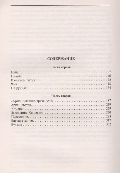 Черный всадник - фото 2