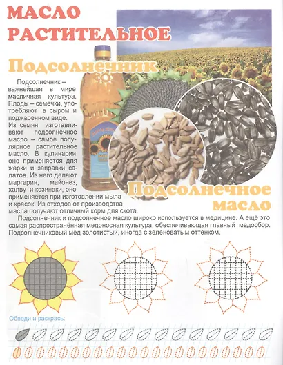 Что у нас на столе? Для детей 4-6 лет - фото 5