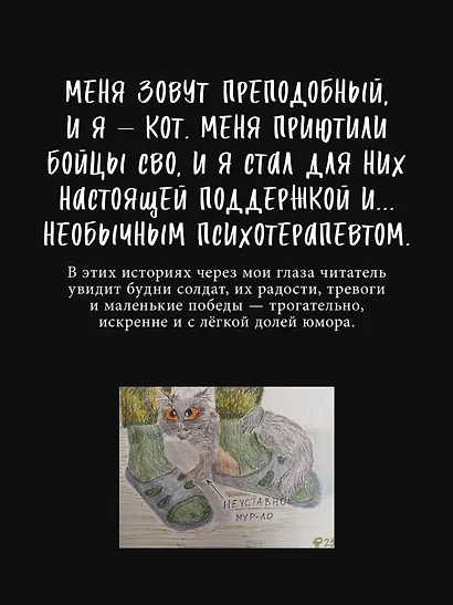 Фронтовые байки, рассказанные котом полка - фото 5