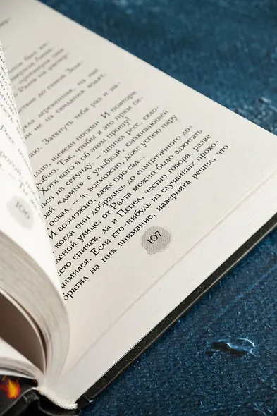 В пепел. Кадет - фото 12