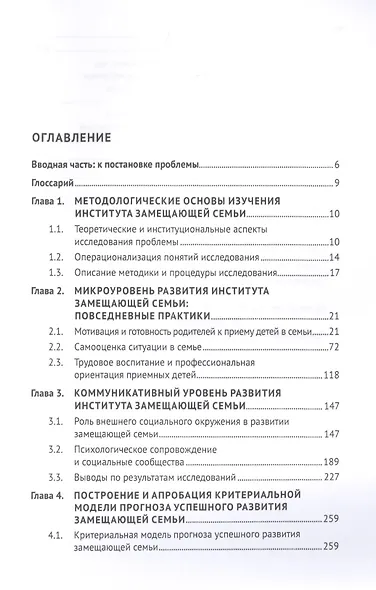 Институционализация замещающей семьи в современном российском обществе. Монография - фото 2