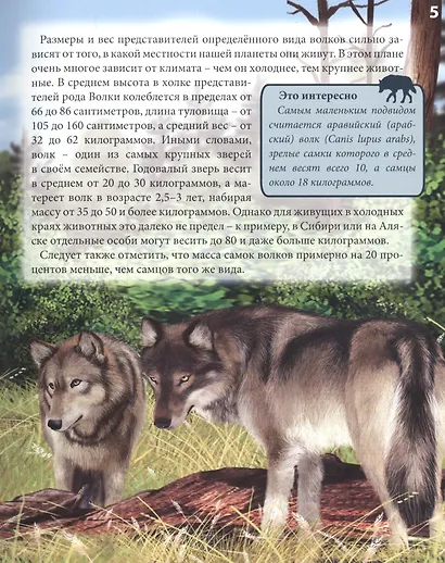 Волки - фото 3