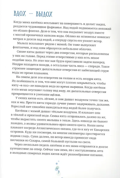 Синий кит: невероятная история самого крупного животного всех времён. Издание 2-е, исправленное - фото 3