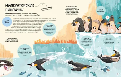 Семья в мире животных. Любовь, забота и воспитание в дикой природе - фото 6