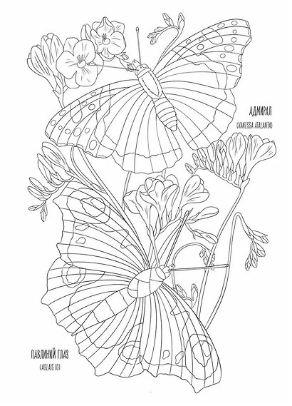 OUTLINES. Раскраска «Мир бабочек» - фото 5