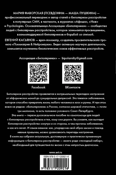 Биполярное расстройство: гид по выживанию для тех, кто часто не видит белой полосы - фото 2