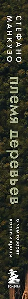 Племя деревьев. О чем говорят корни и кроны - фото 8
