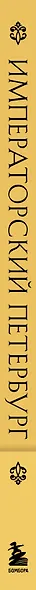 Императорский Петербург. Как менялась Северная столица от Петра I до Николая II - фото 5