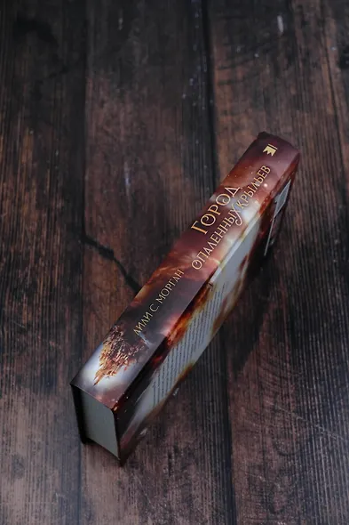 Город опаленных крыльев - фото 5