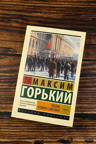 Жизнь Клима Самгина. В 2 кн. Книга 2 - фото 5