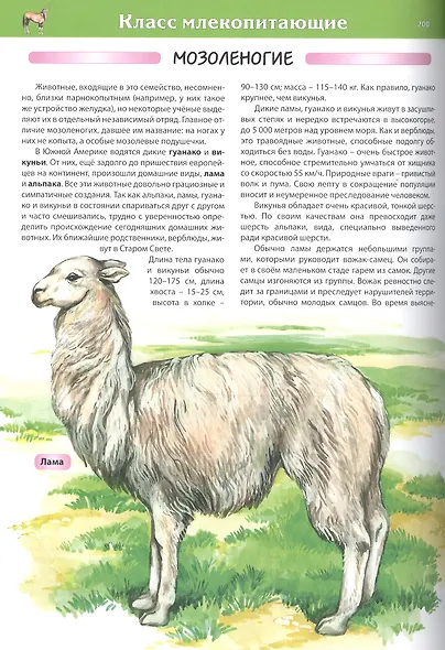 Животные. Детская энциклопедия - фото 9